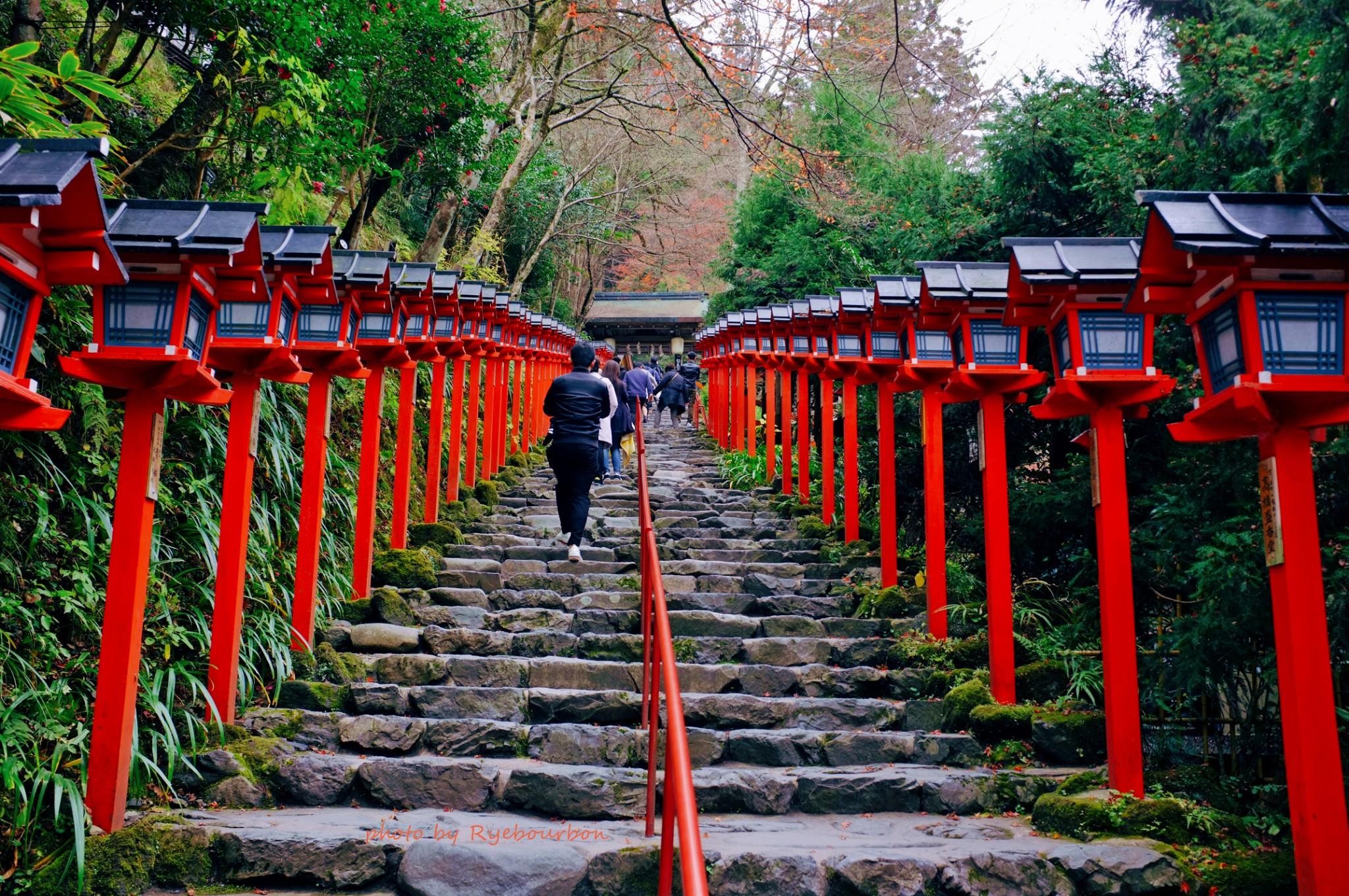 京都自助遊攻略