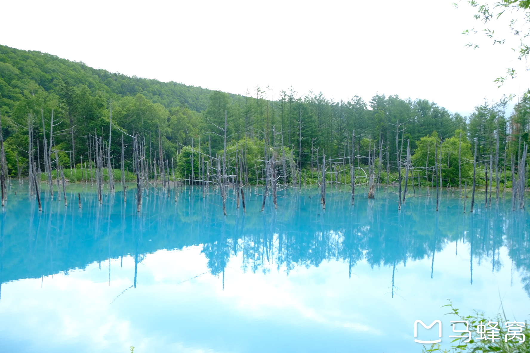 北海道自助遊攻略