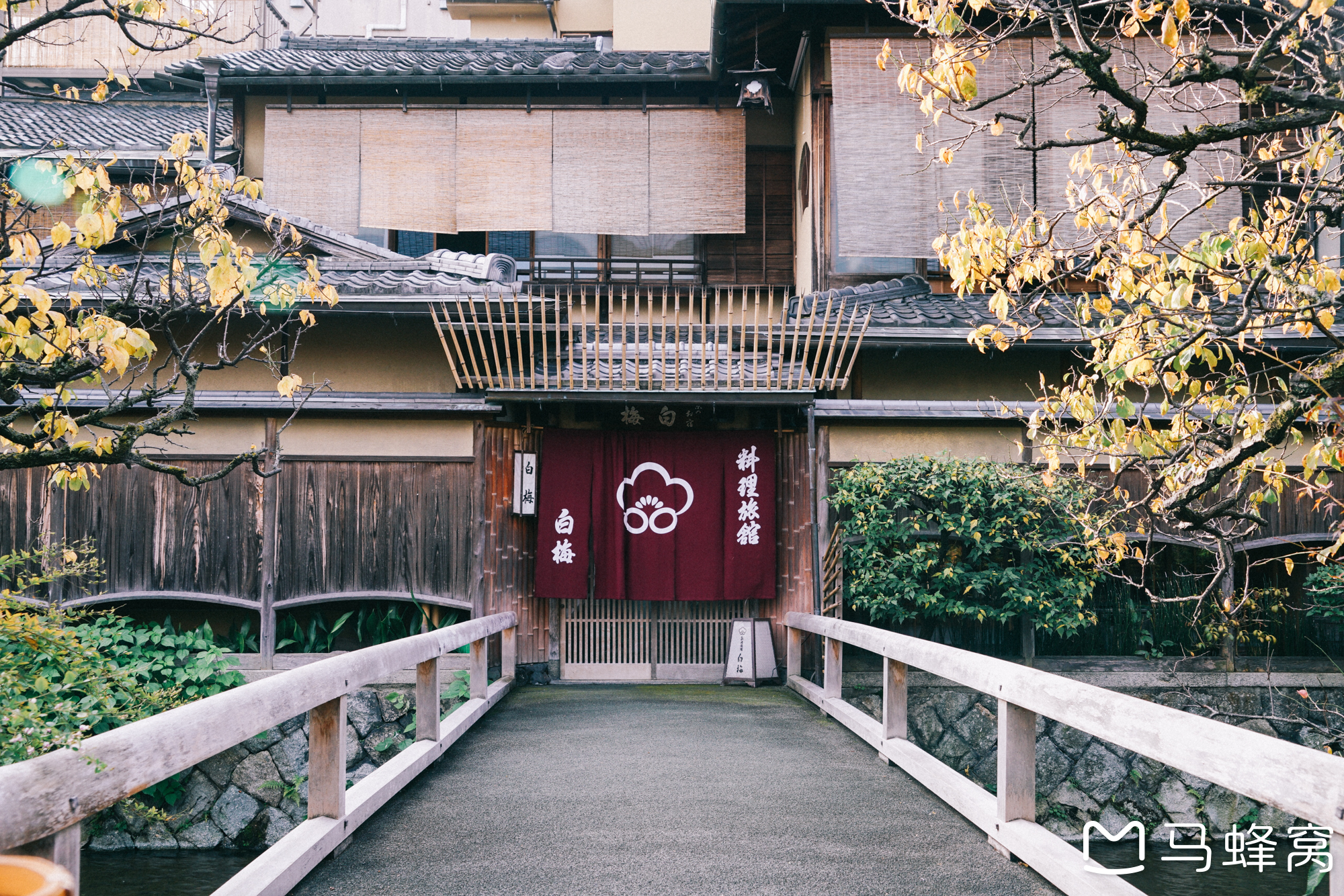 京都自助遊攻略