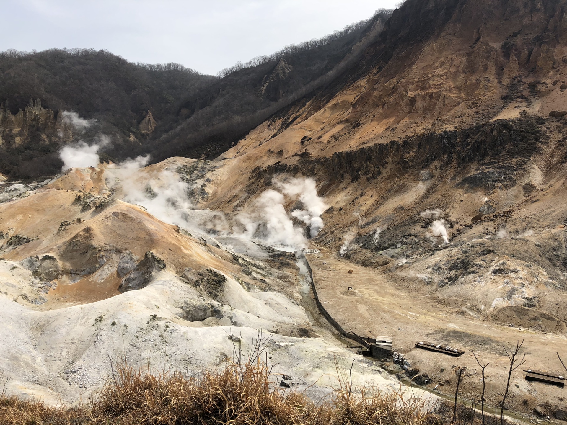 北海道自助遊攻略