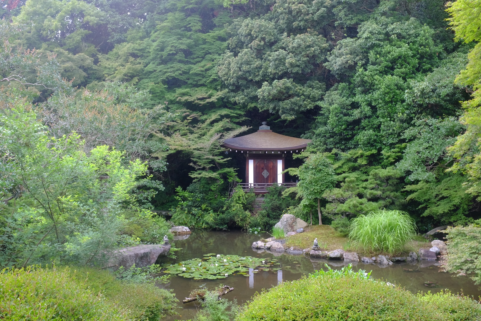 京都自助遊攻略