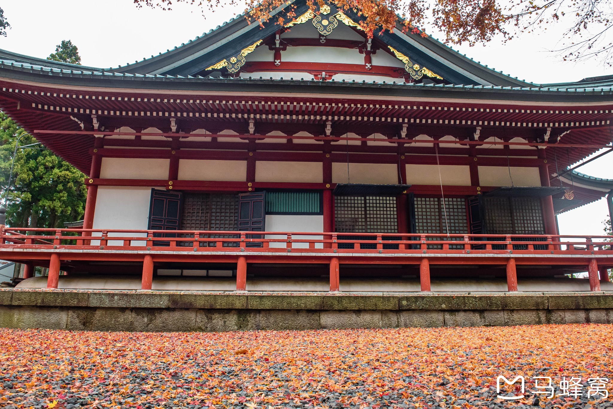 京都自助遊攻略