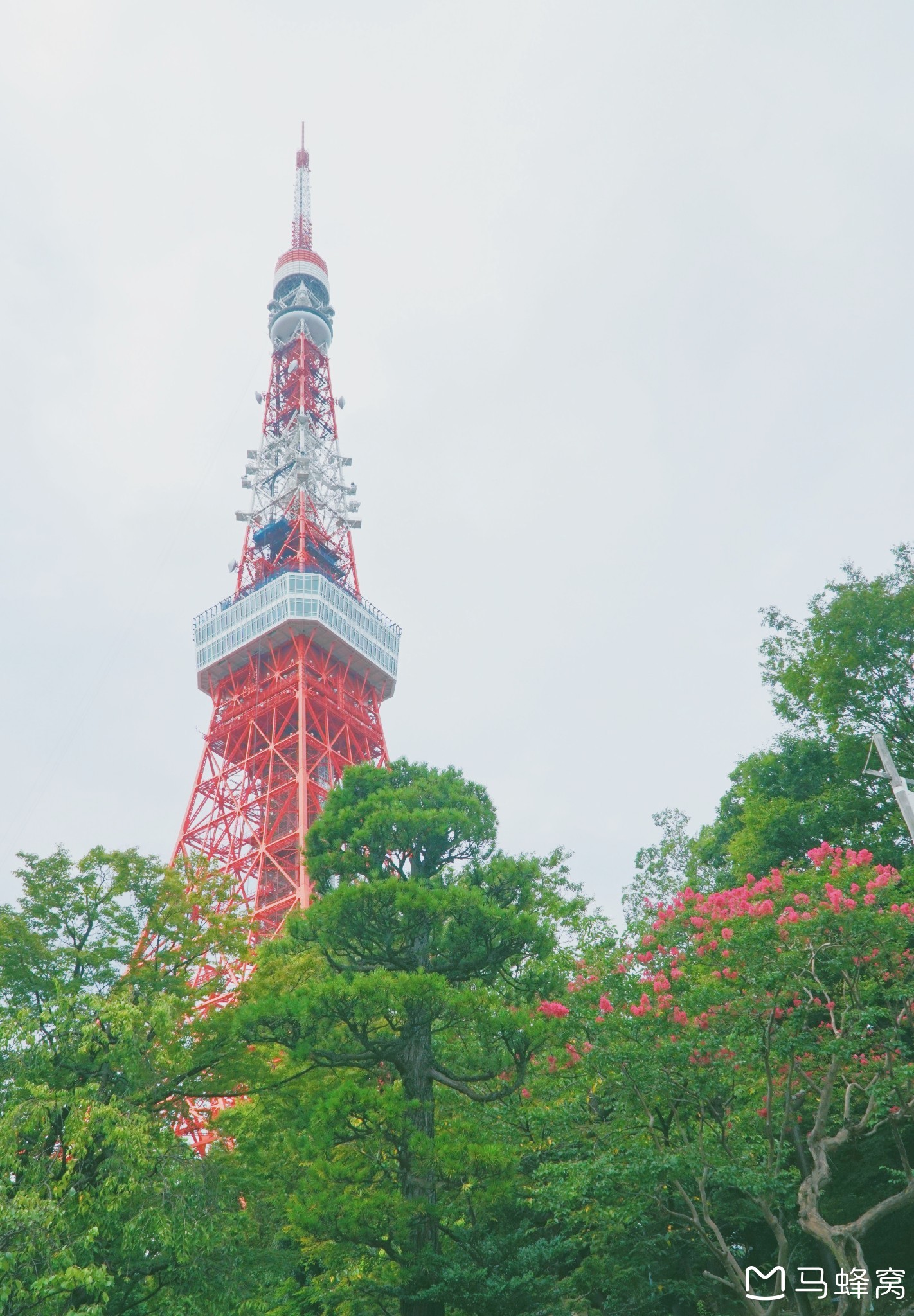 東京自助遊攻略