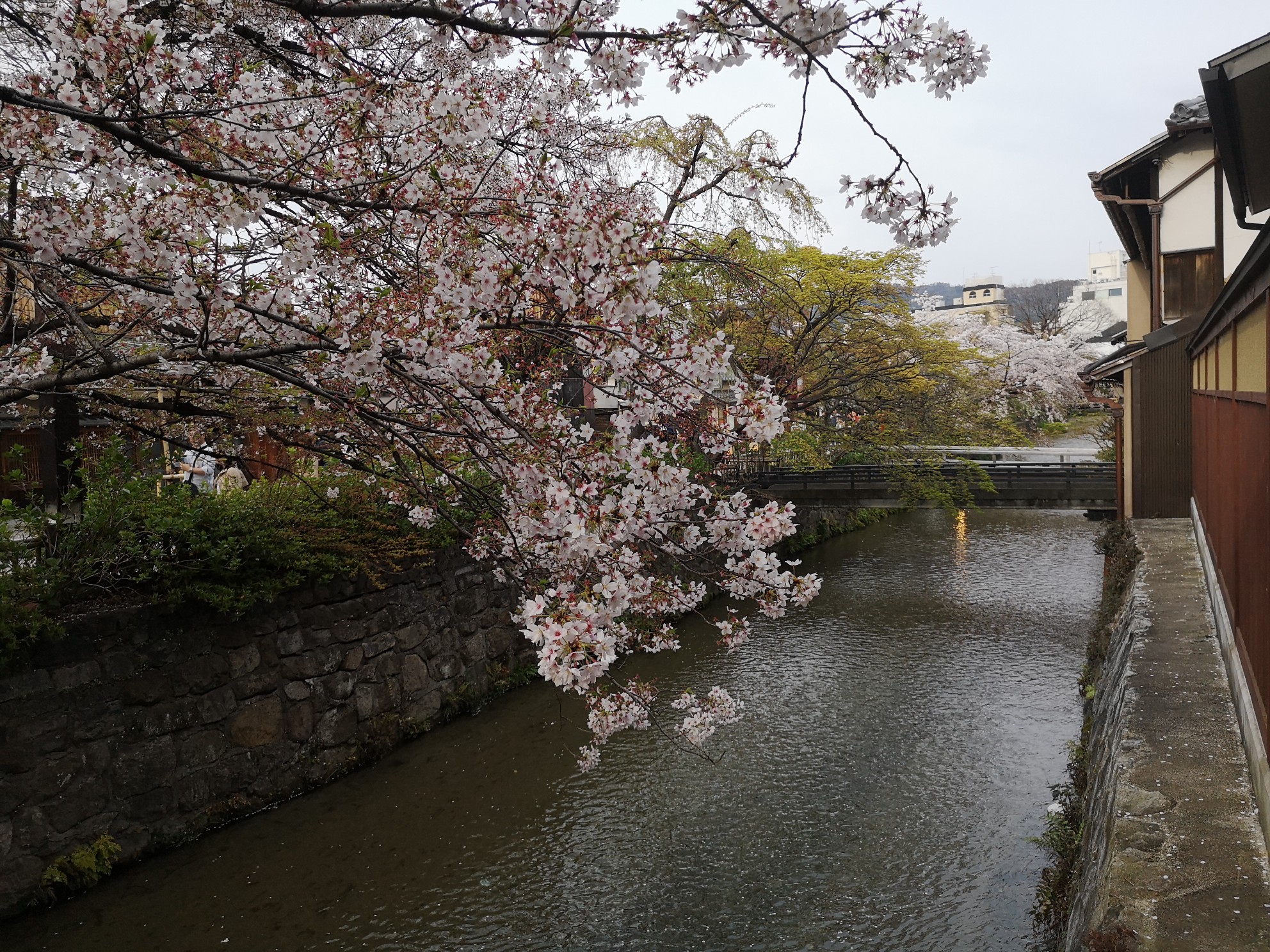 京都自助遊攻略