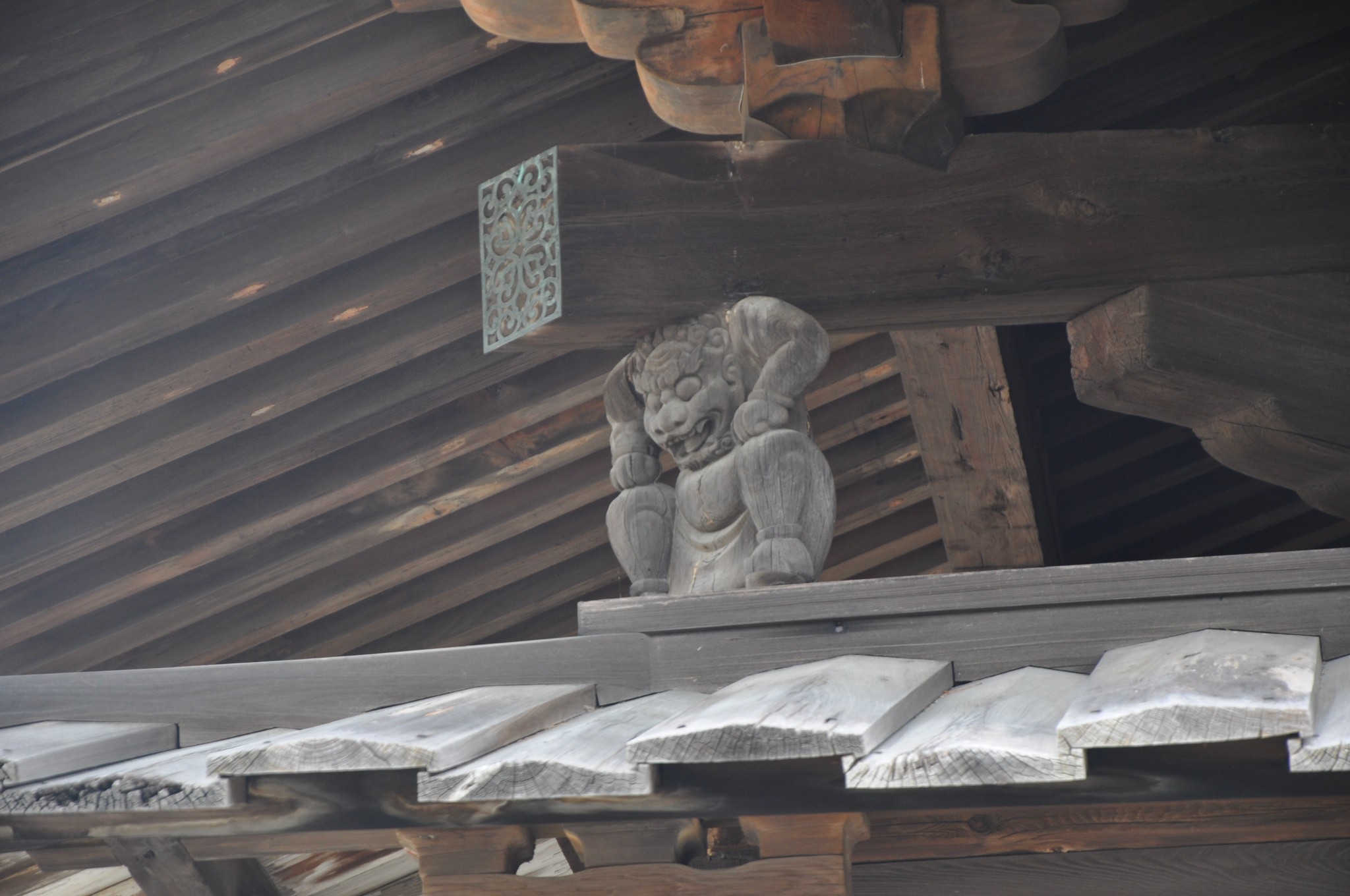 京都自助遊攻略