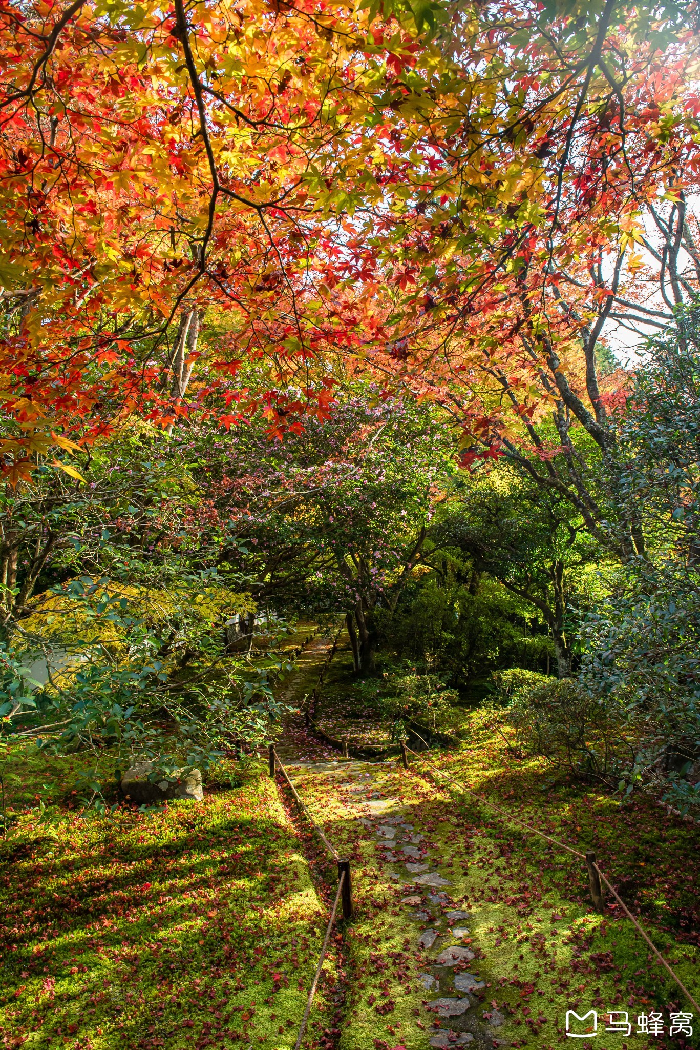 京都自助遊攻略