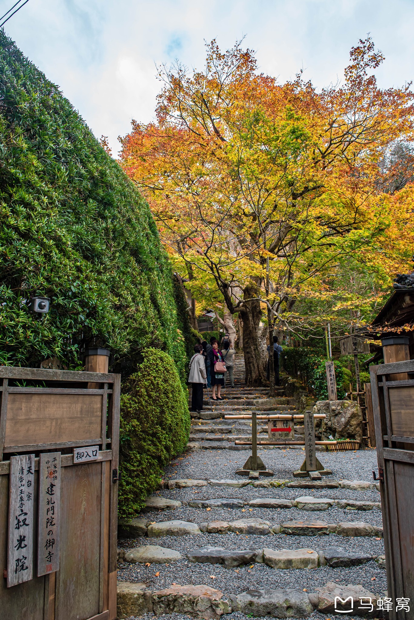 京都自助遊攻略