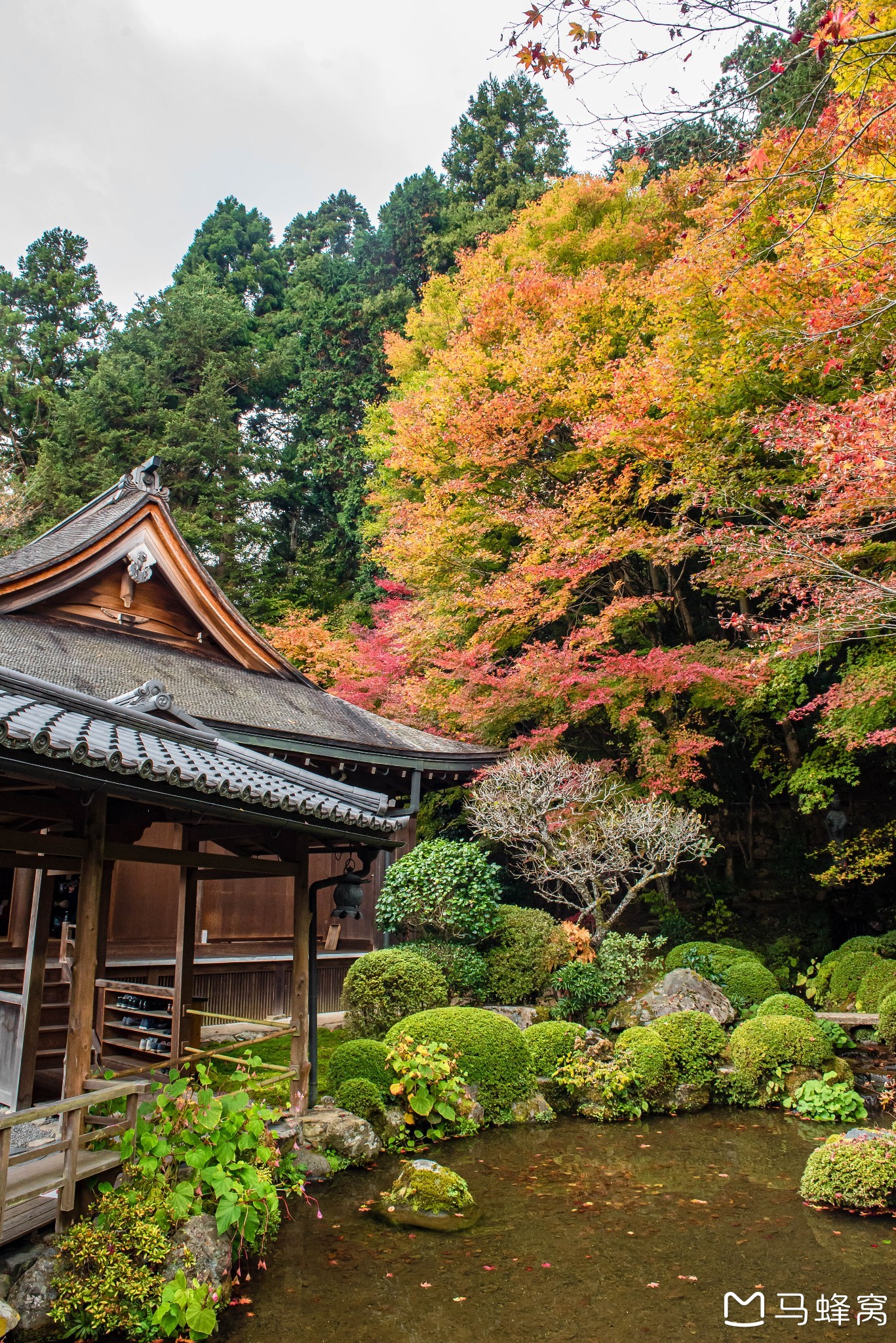 京都自助遊攻略