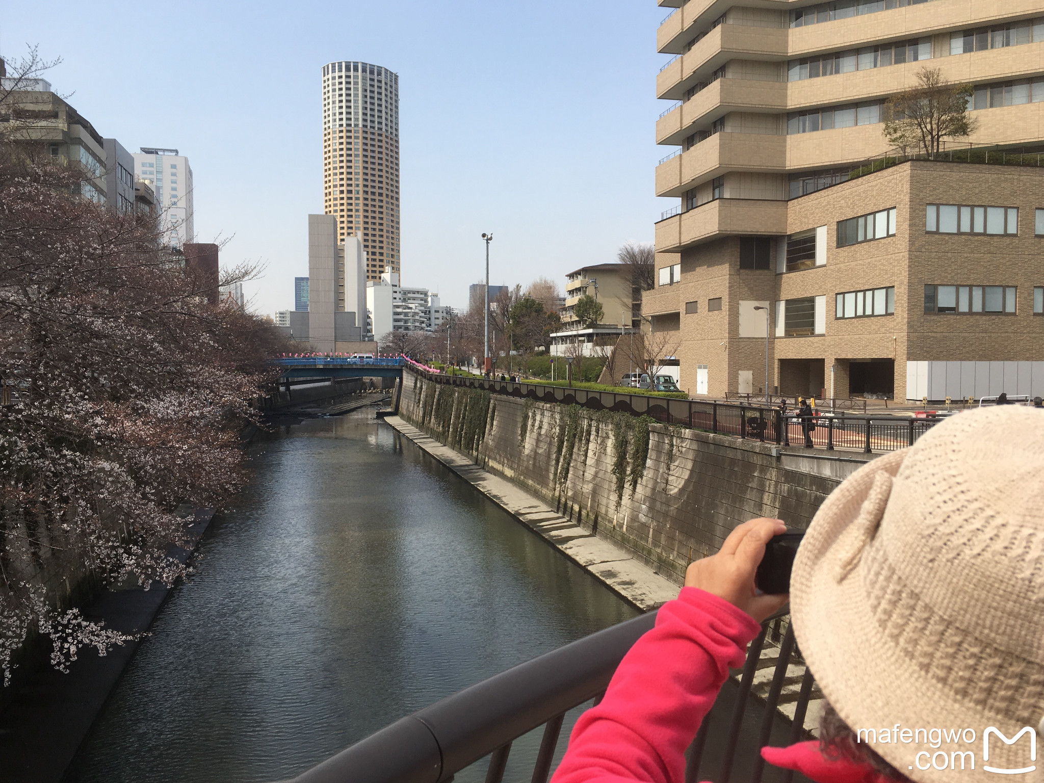 東京自助遊攻略