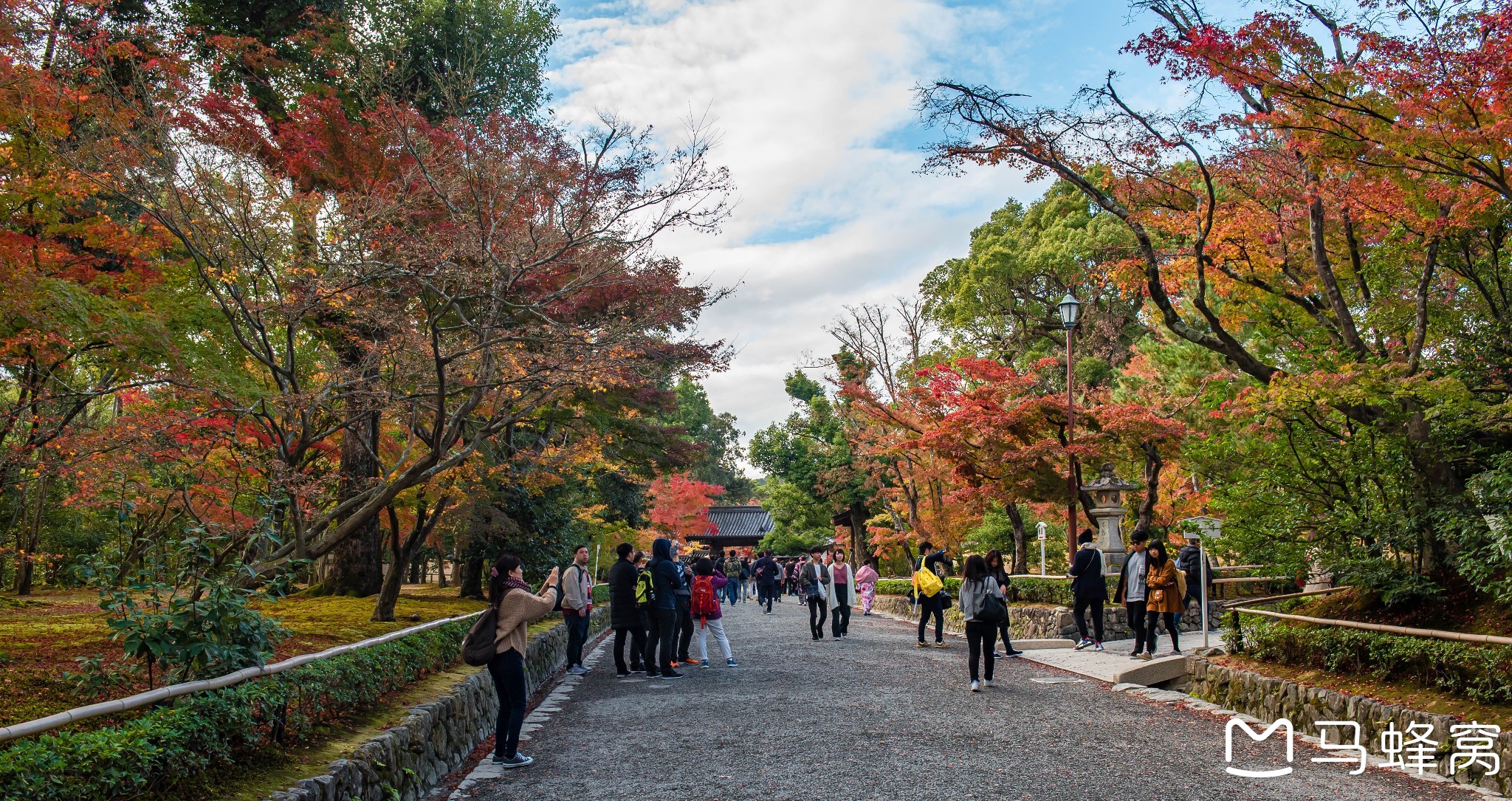 京都自助遊攻略