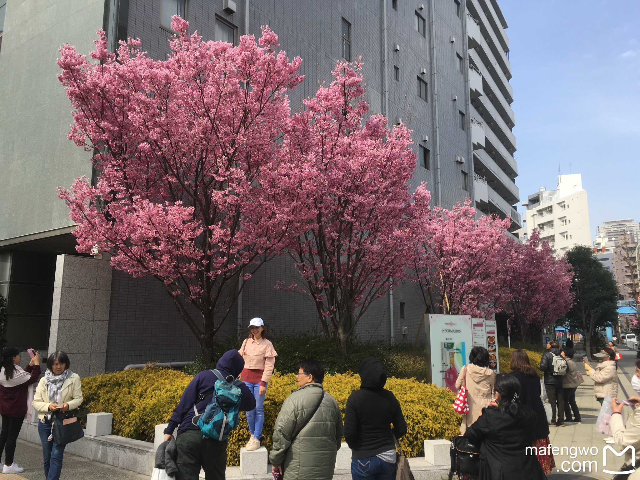 東京自助遊攻略