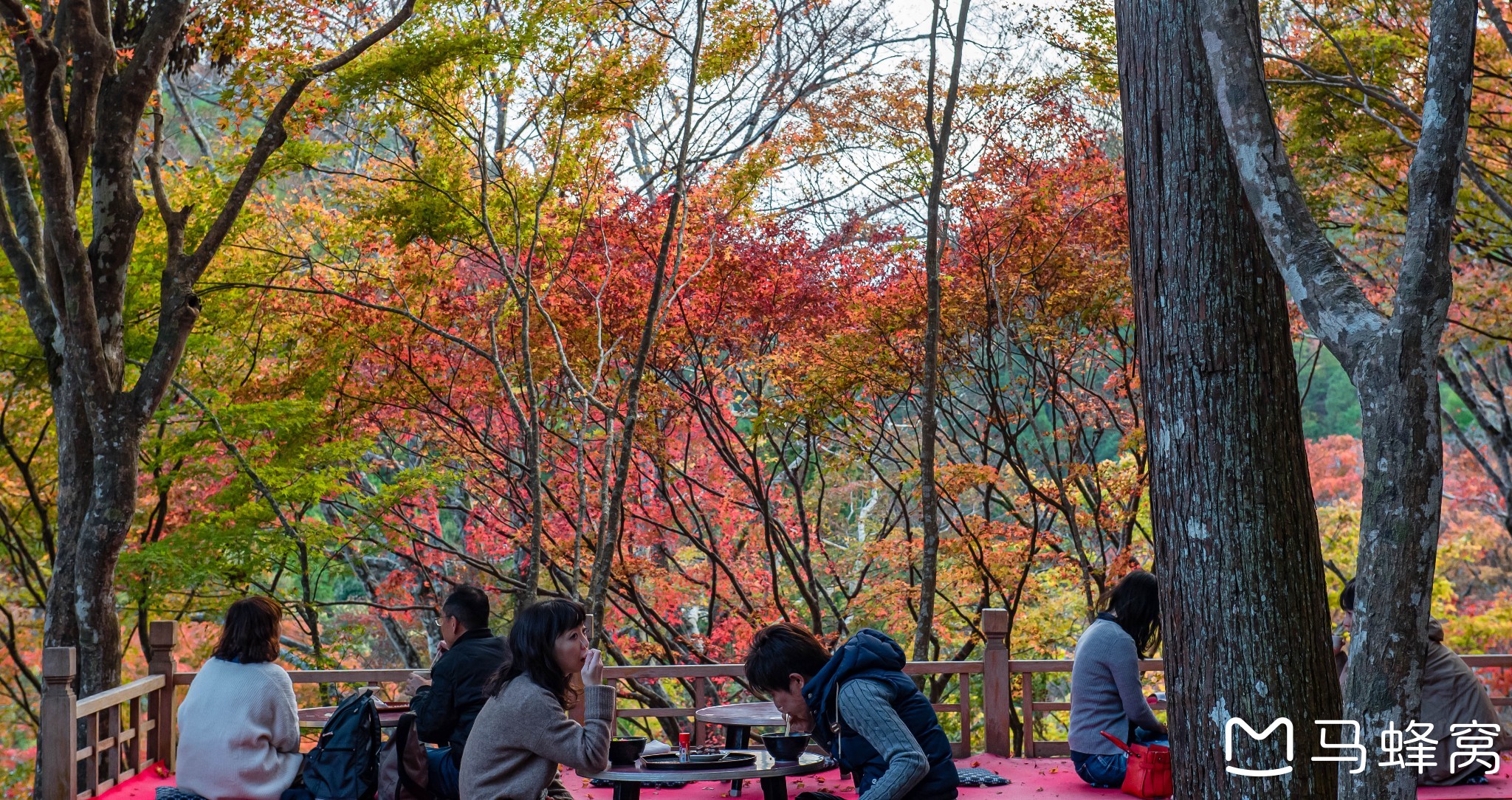 京都自助遊攻略