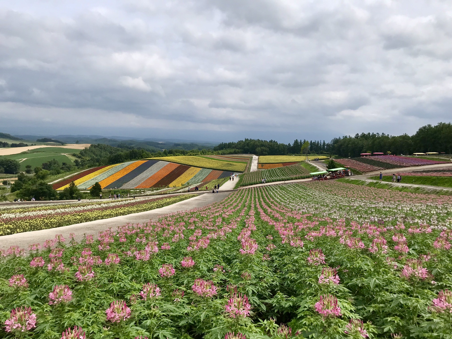 北海道自助遊攻略