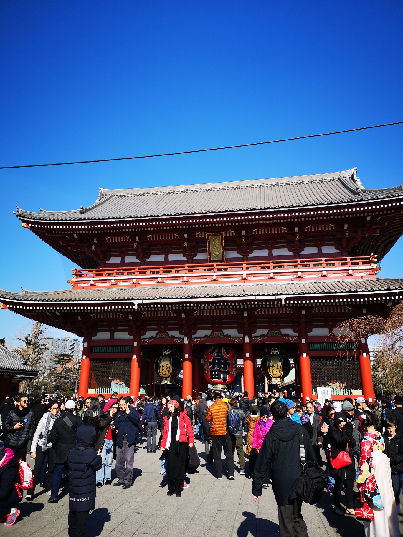 東京自助遊攻略