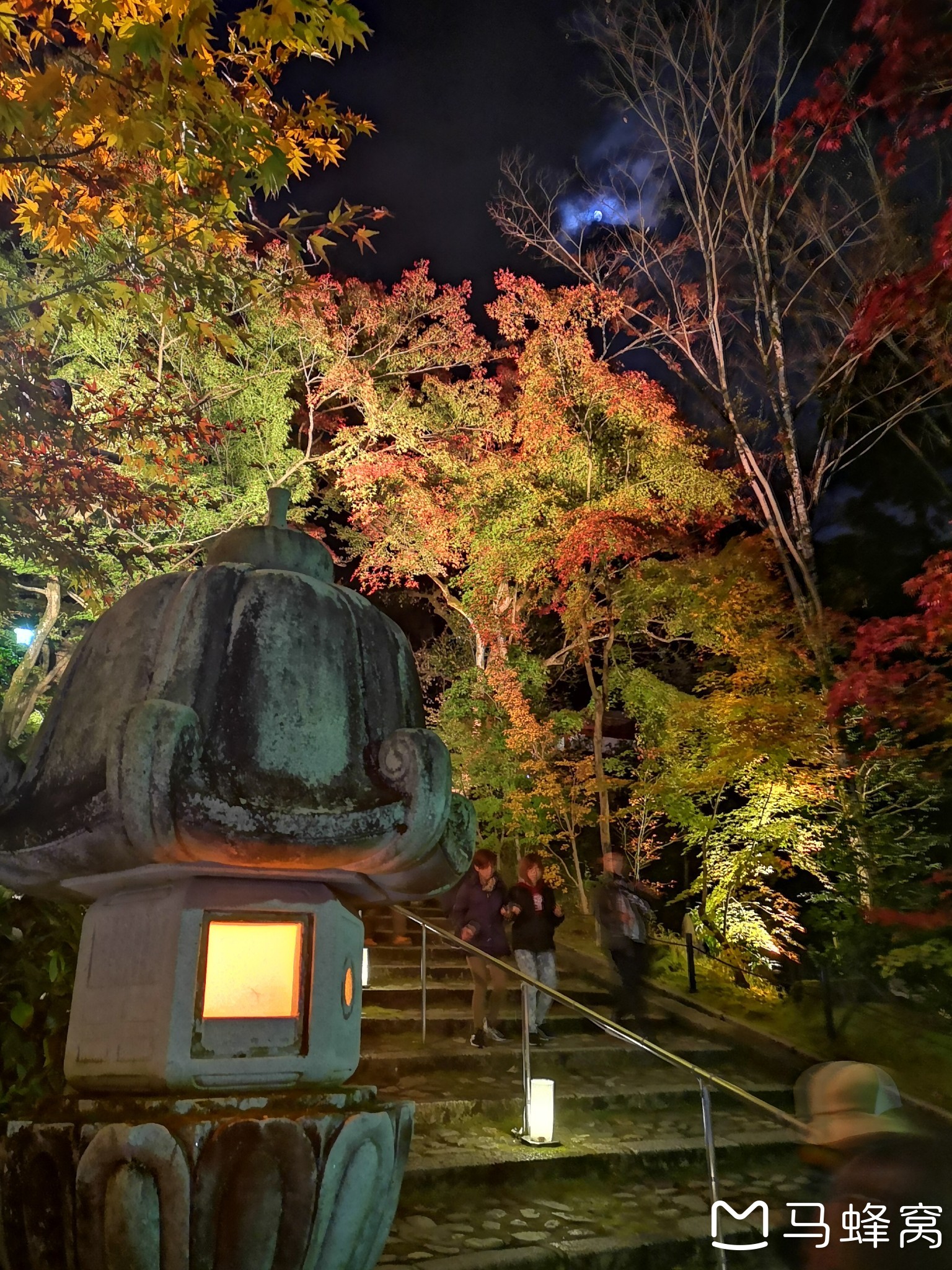 京都自助遊攻略