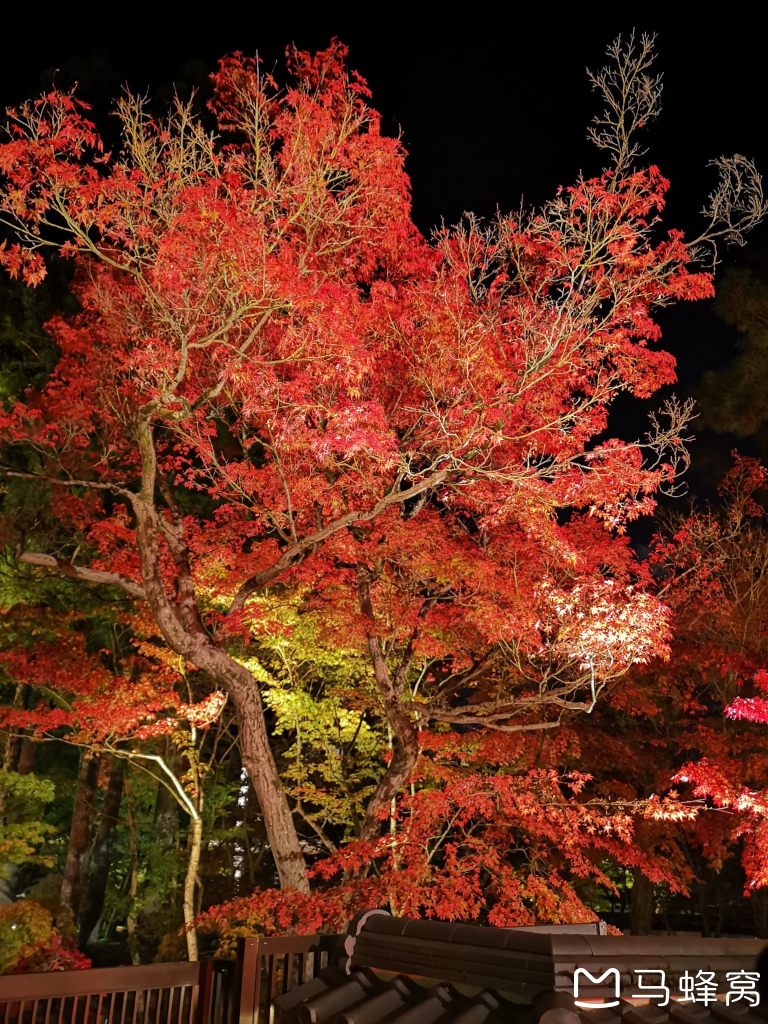 京都自助遊攻略