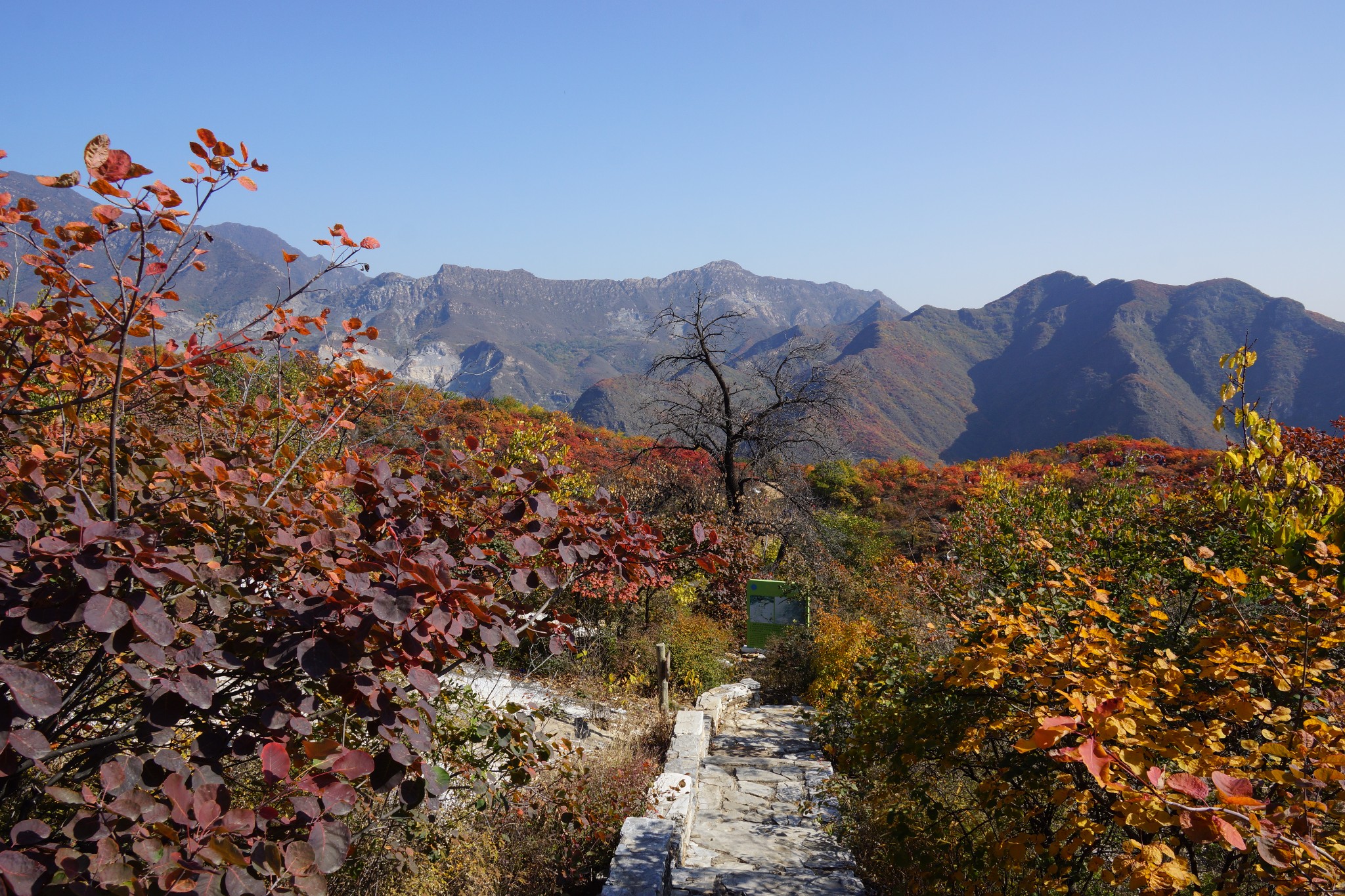 房山坡峰嶺賞紅葉(2019.10.26)