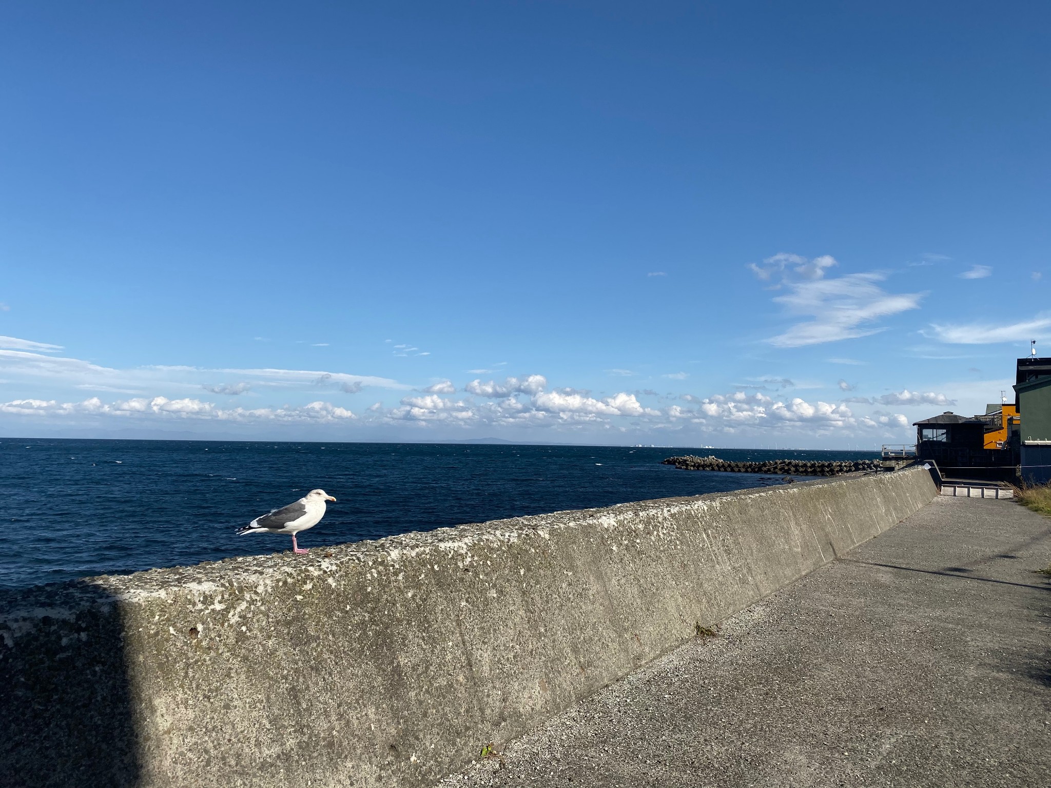 北海道自助遊攻略