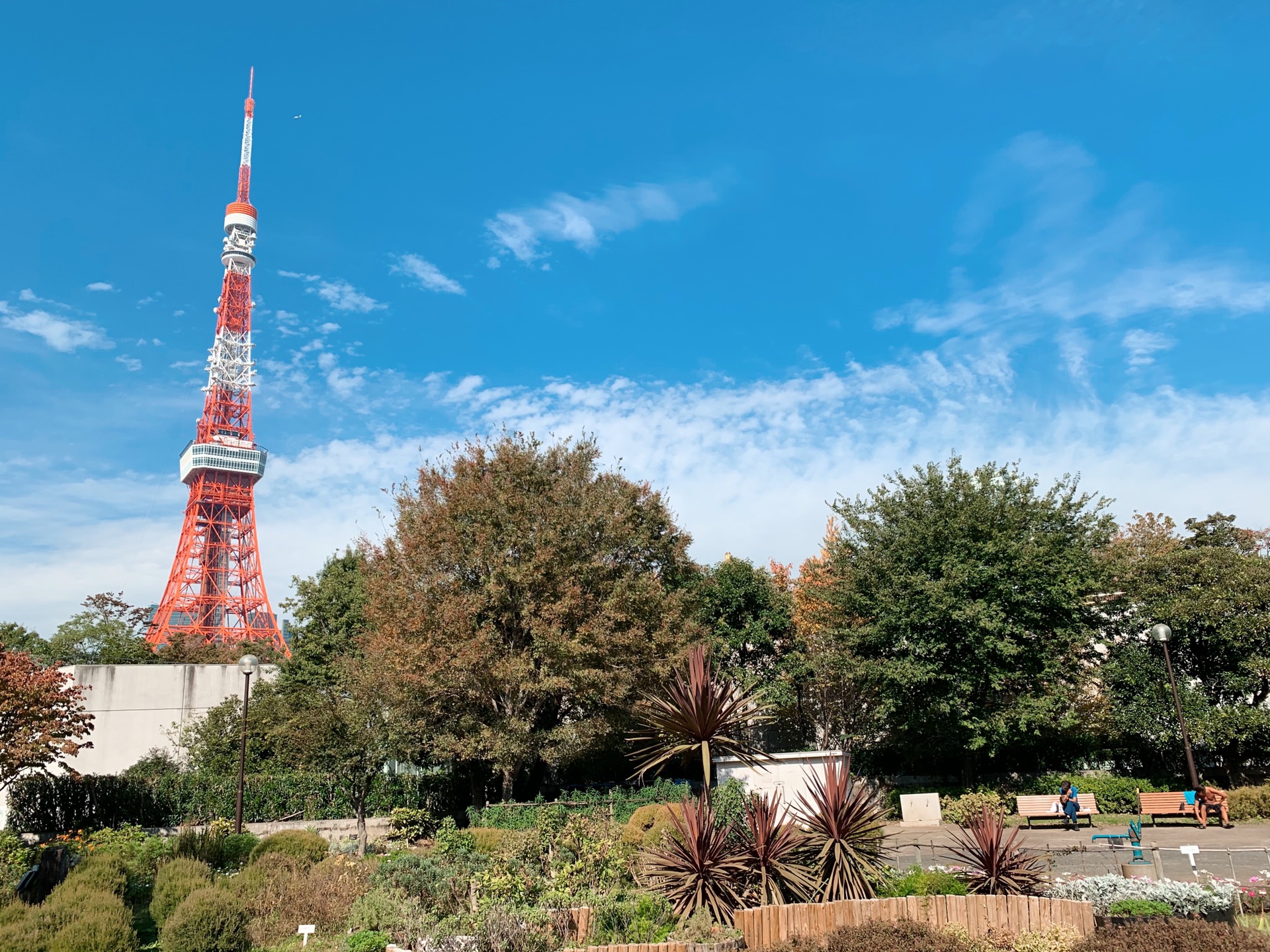 東京自助遊攻略