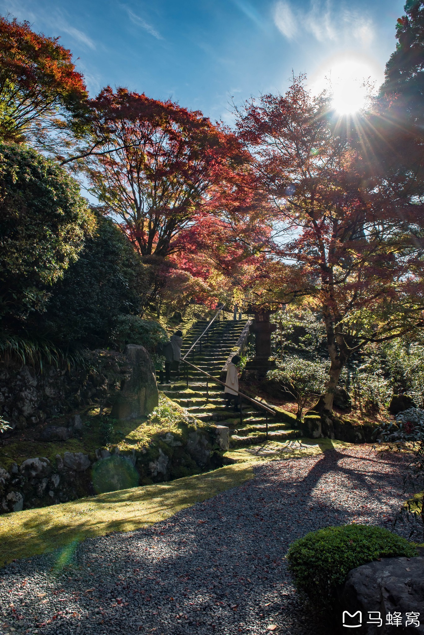 京都自助遊攻略