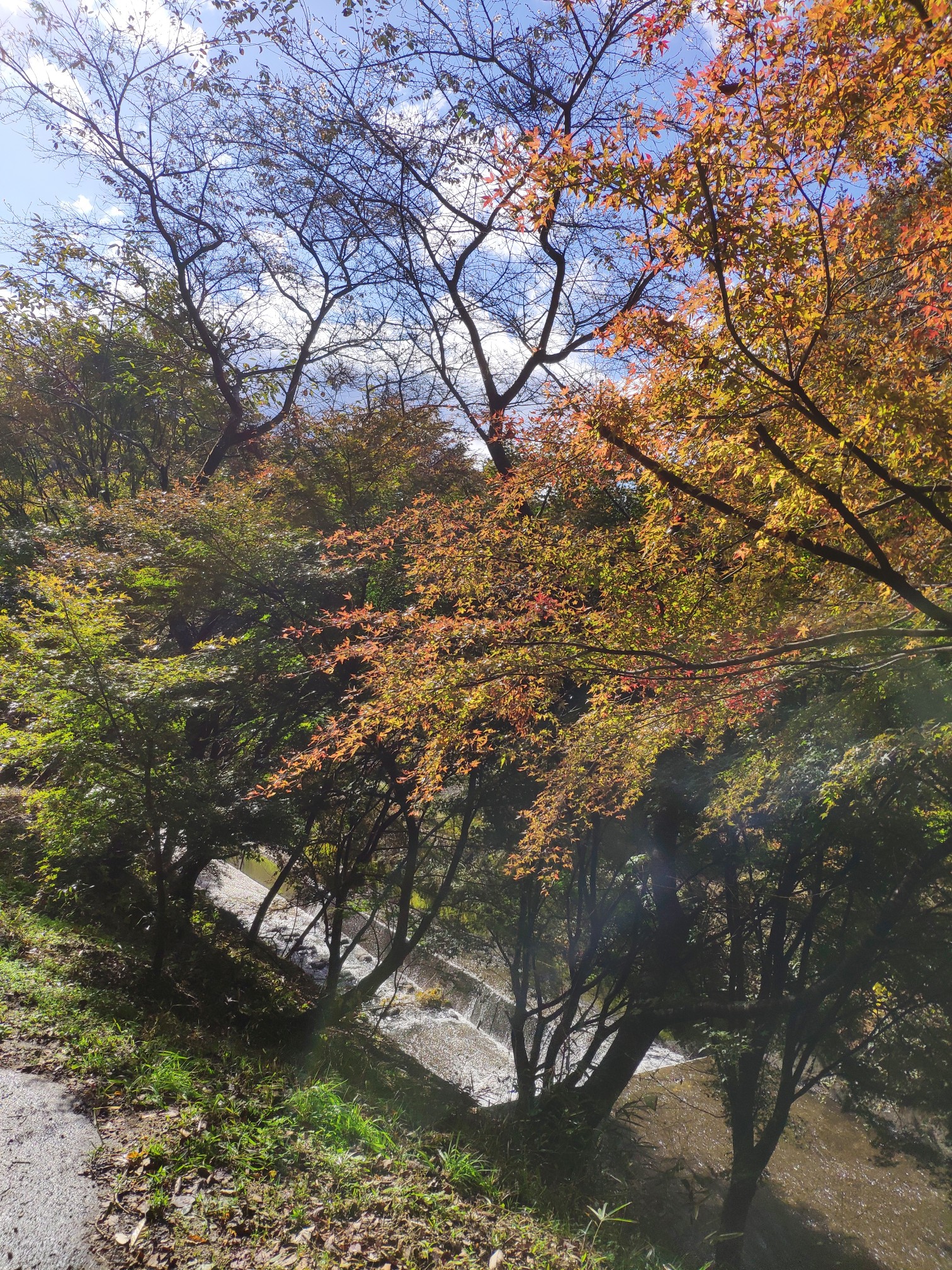 名古屋自助遊攻略