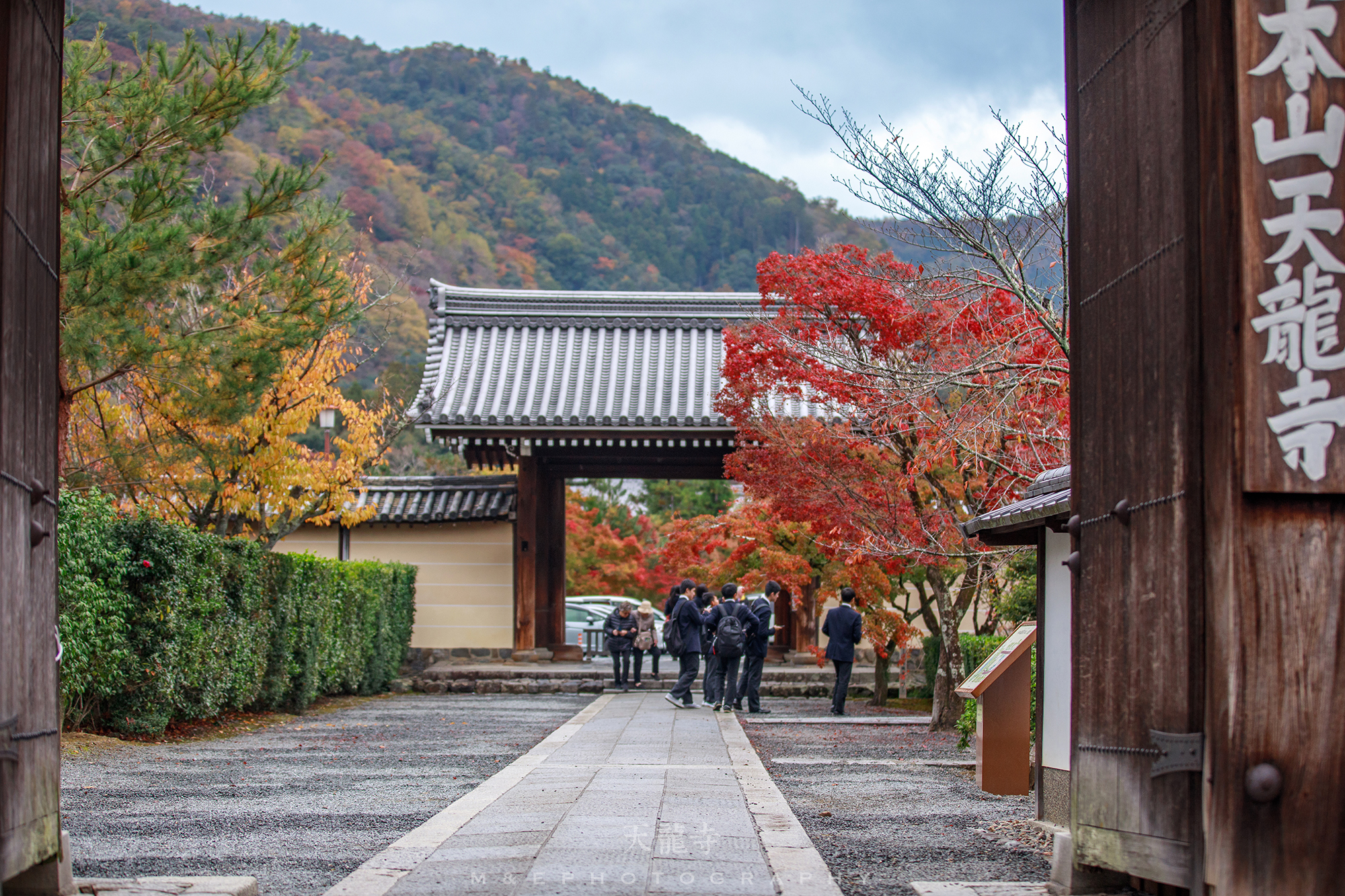 京都自助遊攻略