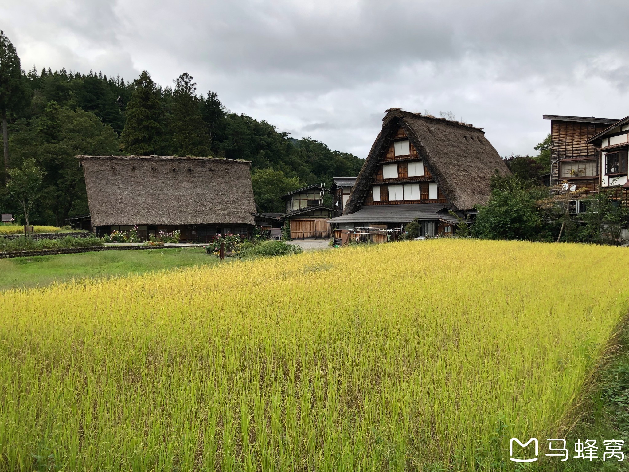 名古屋自助遊攻略