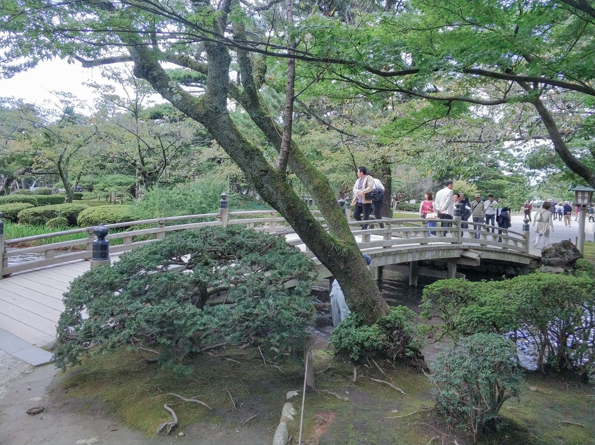 名古屋自助遊攻略