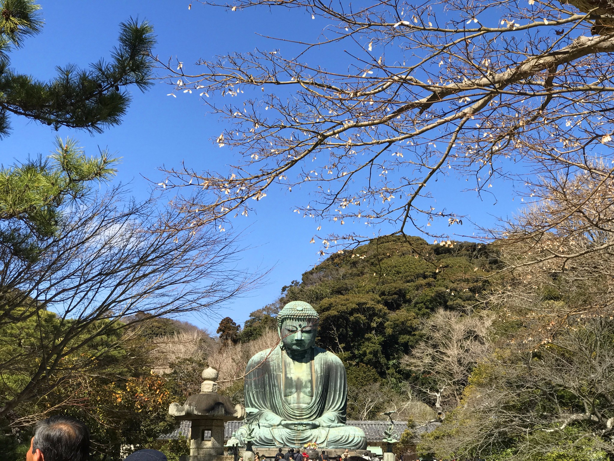 富士山自助遊攻略