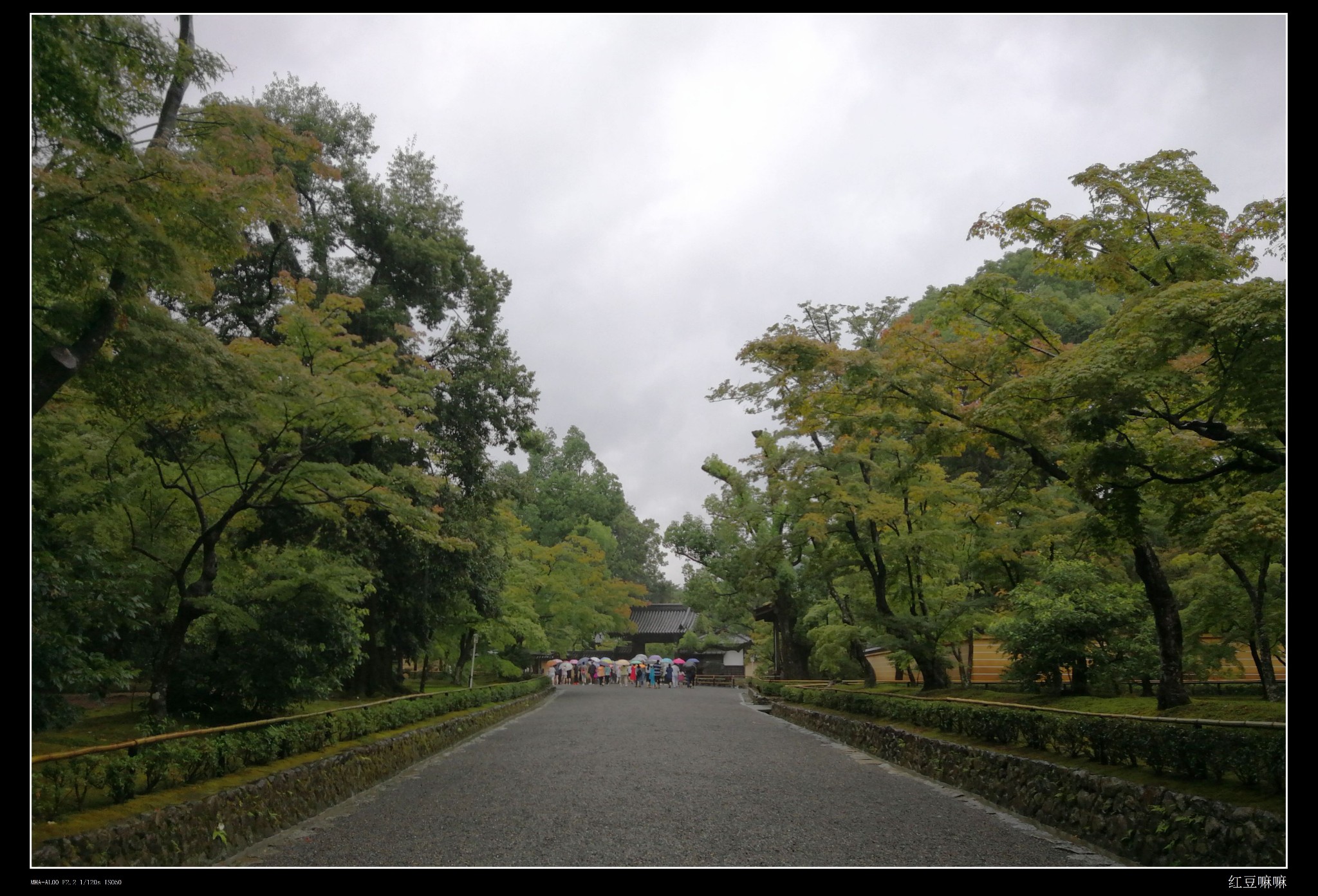 京都自助遊攻略