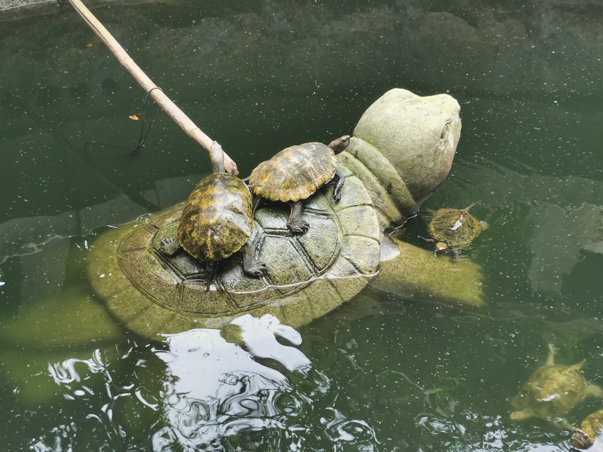 京都自助遊攻略