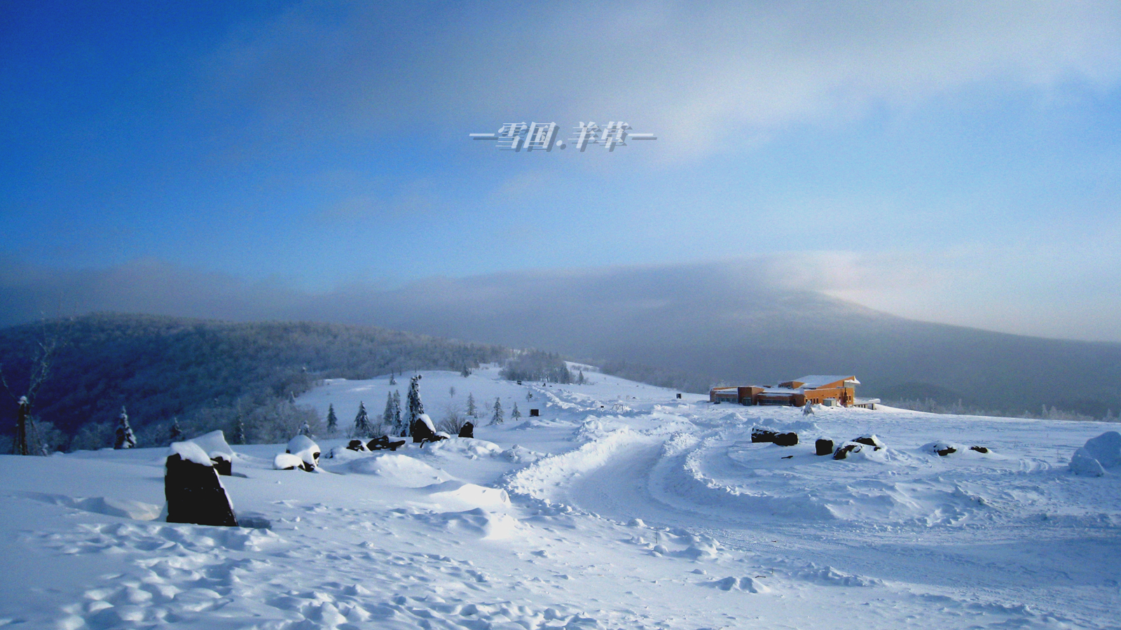 雪鄉自助遊攻略