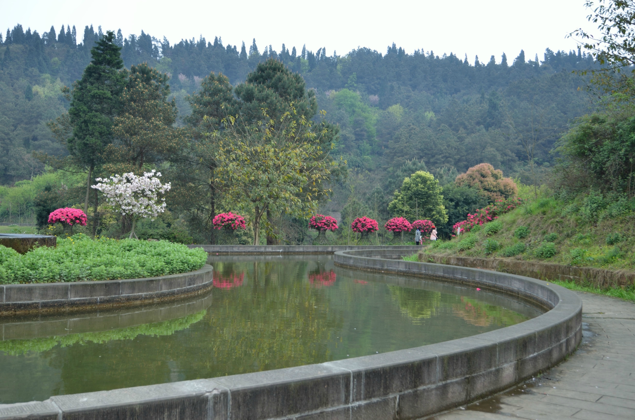 花舞人間,人舞花間圖片184,新津旅遊景點,風景名勝 - 馬蜂窩圖庫 - 馬