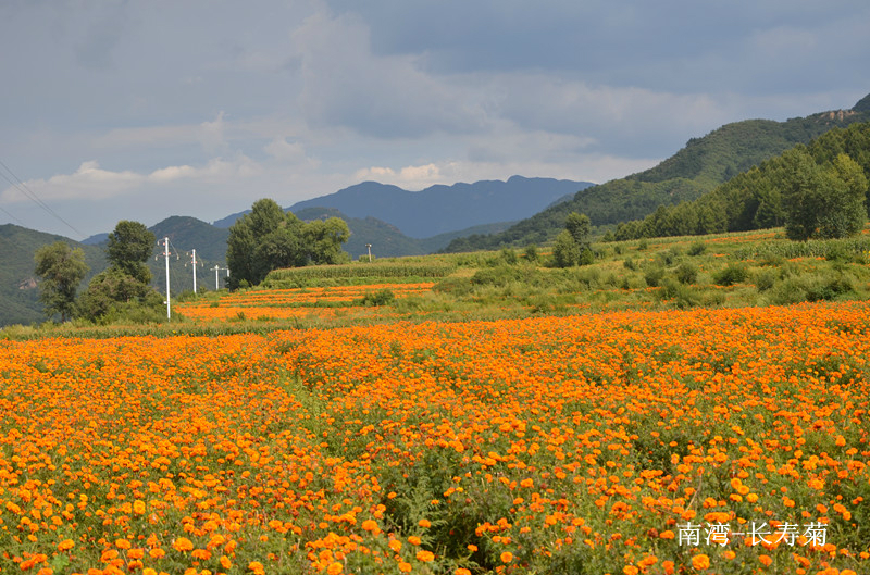 初秋游延庆四海镇花海2013-9-1