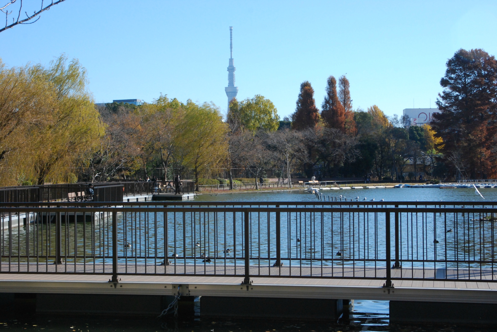 東京自助遊攻略