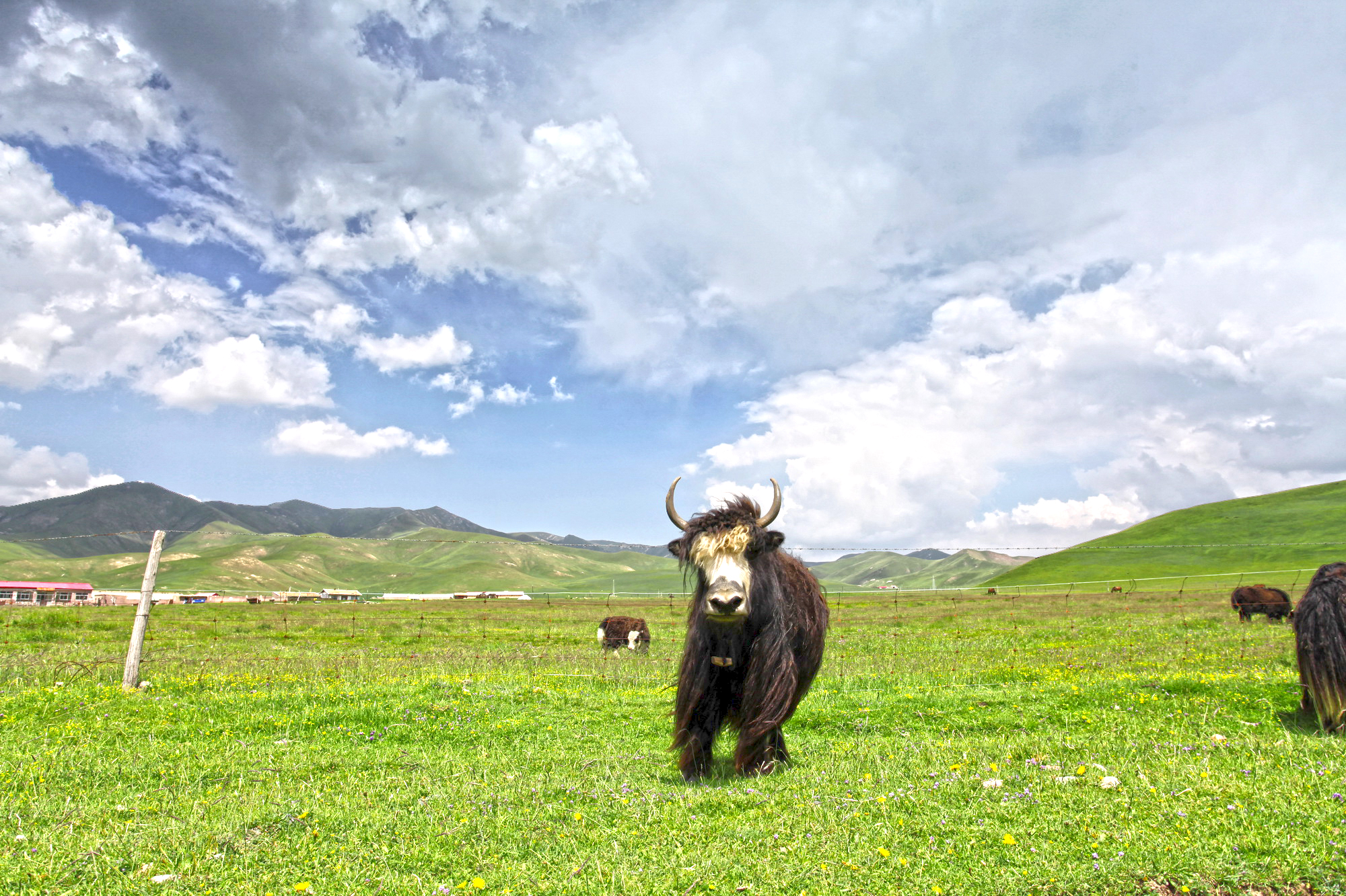 QiLian Zhuoer Mountain