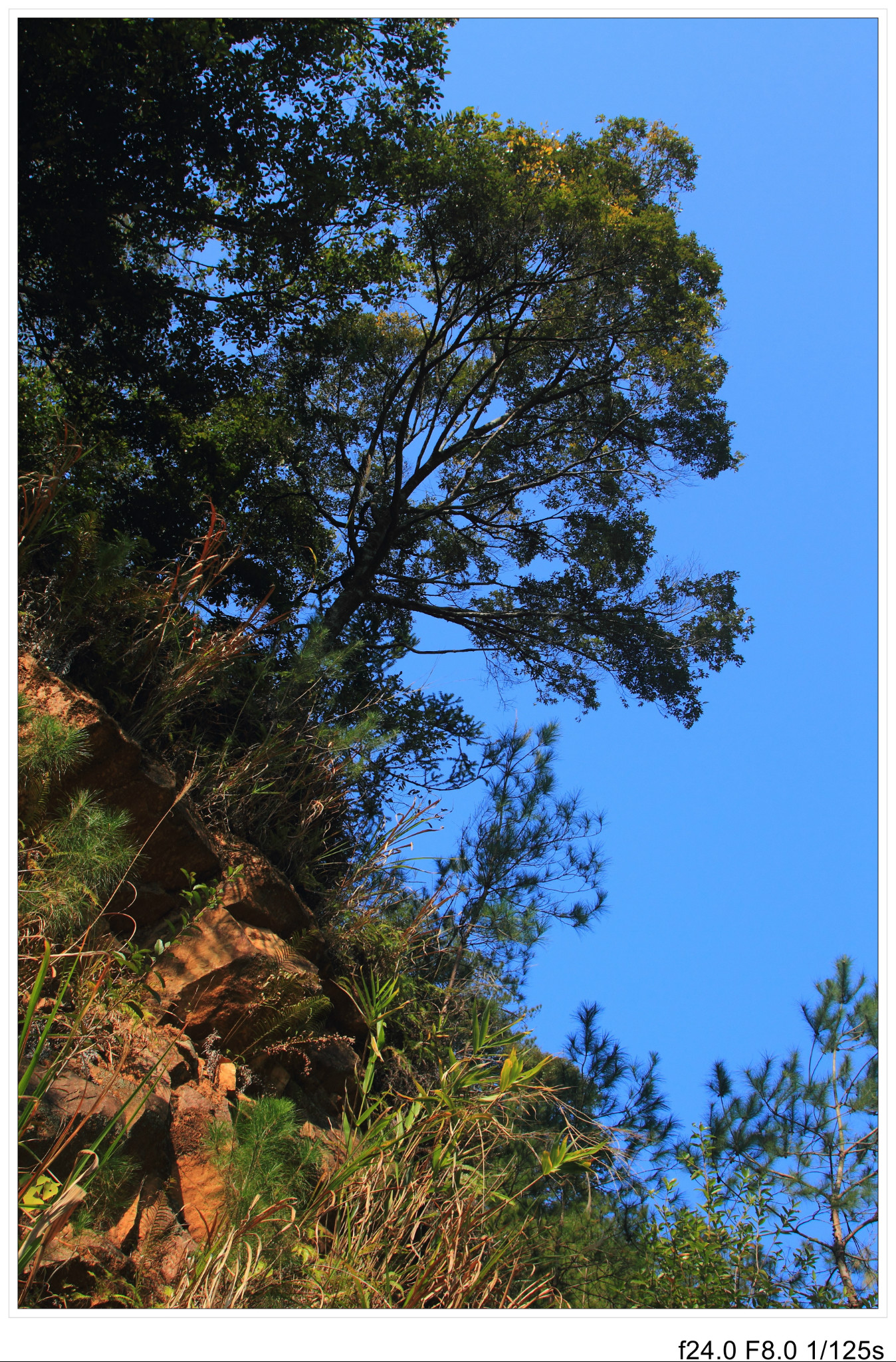 河源连平县九连山