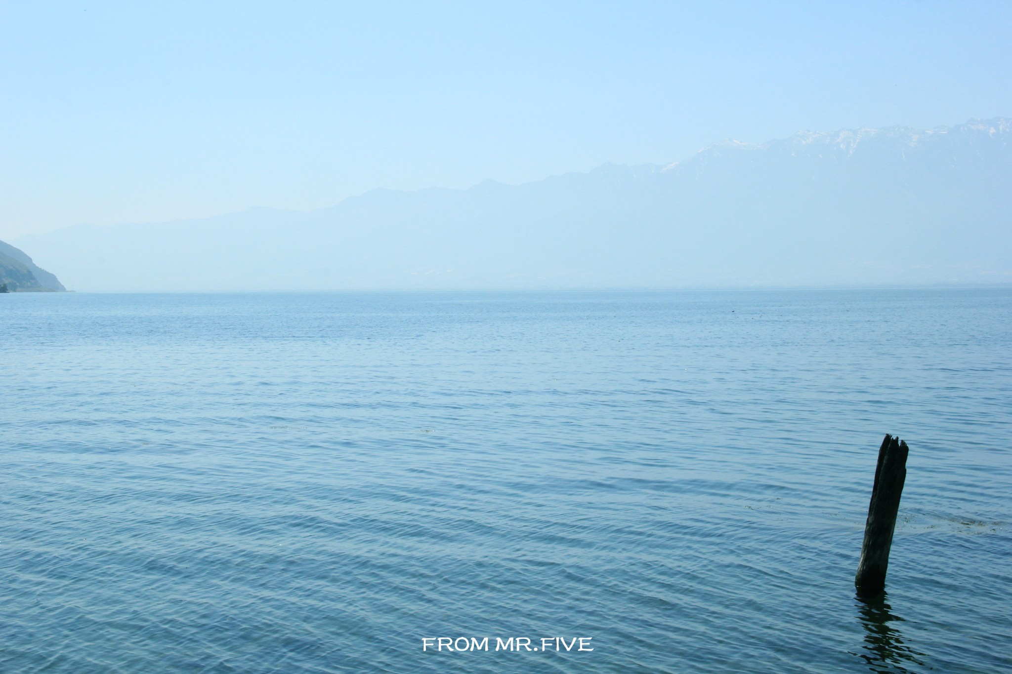 wKgBpVU2XnWAMKV2AAcCKndQoOQ24.jpeg?imageView2%2F2%2Fw%2F680%2Fq%2F90%7CimageMogr2%2Fstrip%2Fquality%2F90