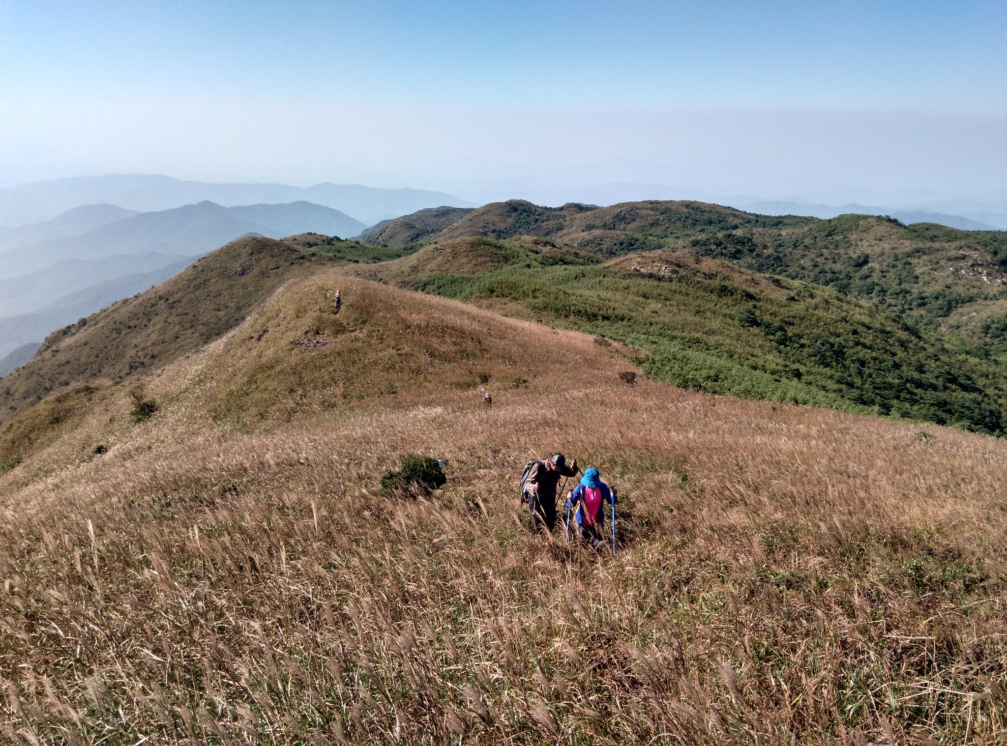 惠州四方山·黑夜傳說1-秋季篇圖片142,惠州旅遊景點,風景名勝 - 馬