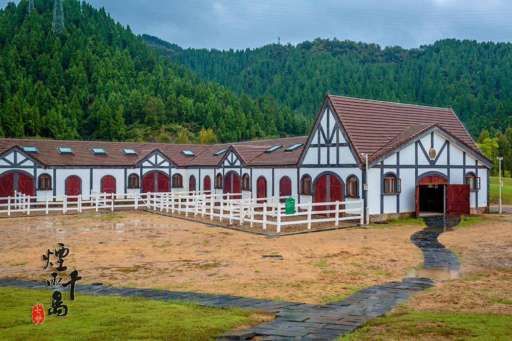 千岛湖马术公园