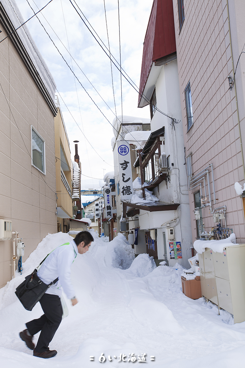 北海道自助遊攻略