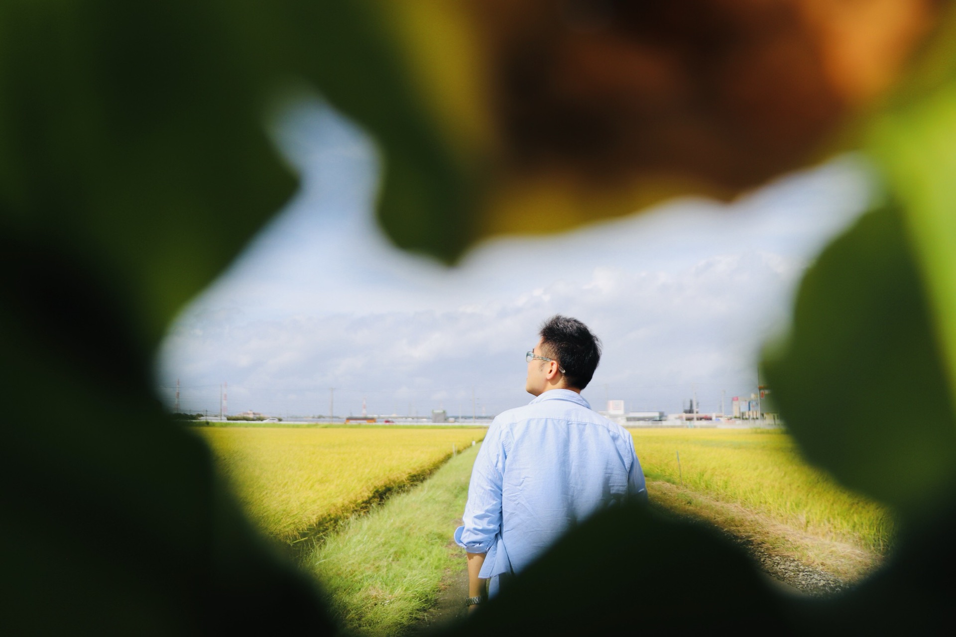 日本自助遊攻略