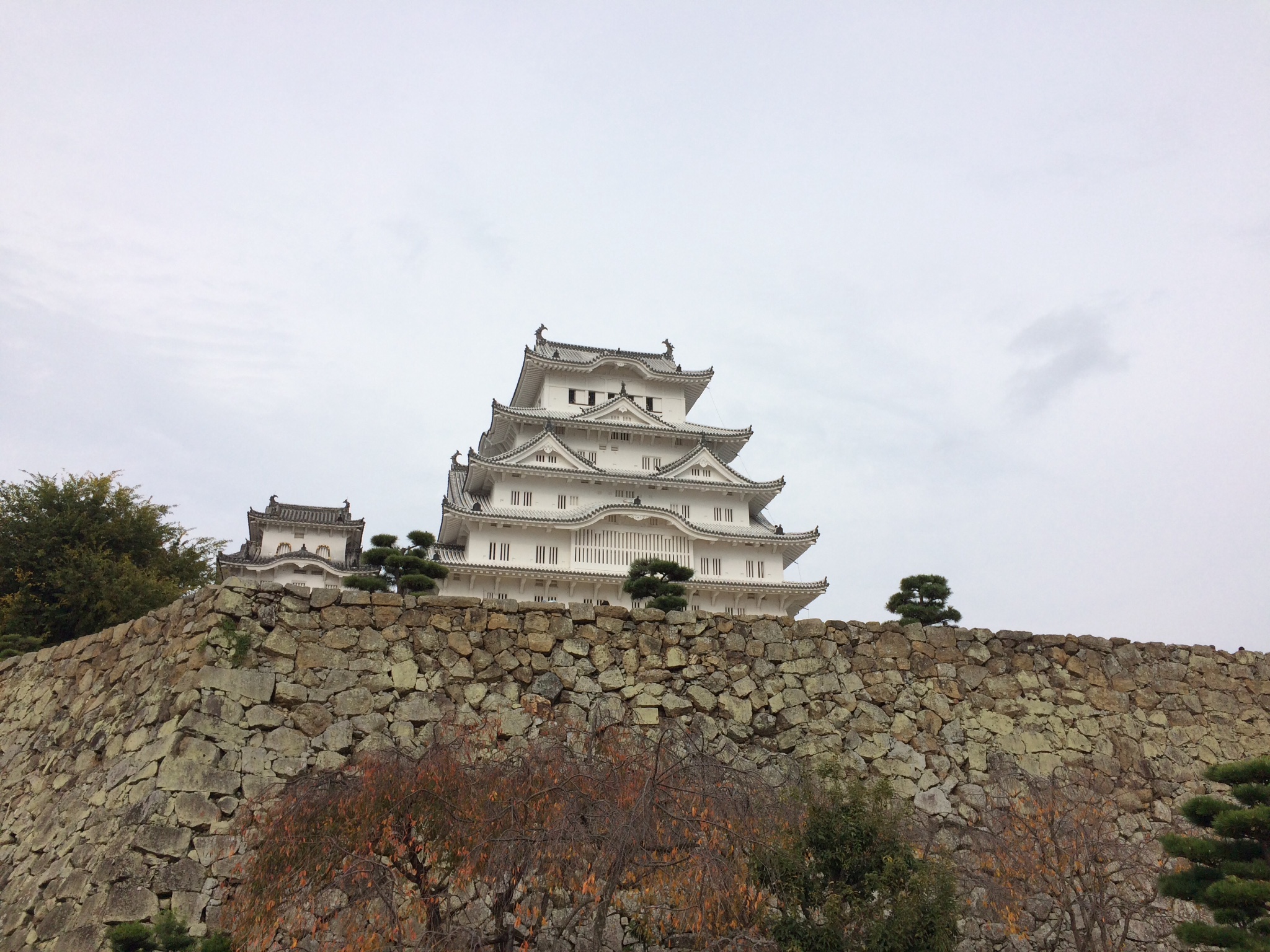 京都自助遊攻略