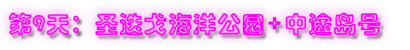 第9天:圣迭戈海洋公园+中途岛号 第9天:圣迭戈海洋公园+中途岛号
