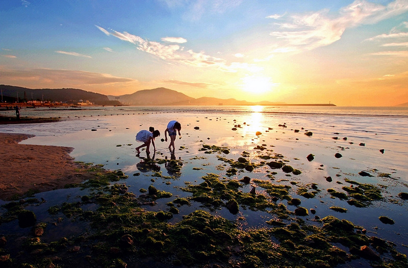 自驾游:醉美海岛 凤鸣岛>,来场海鲜盛宴,不限量,独家私人海滨浴场