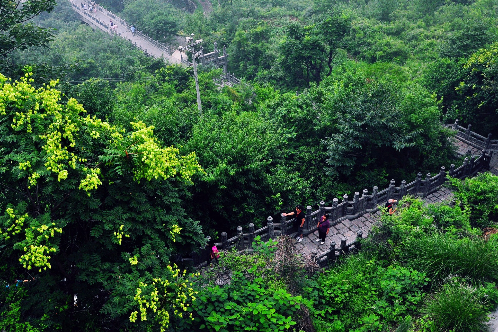 雲台山自助遊攻略