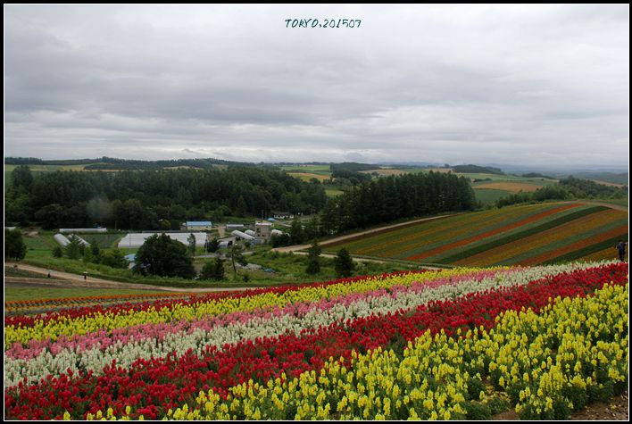 北海道自助遊攻略