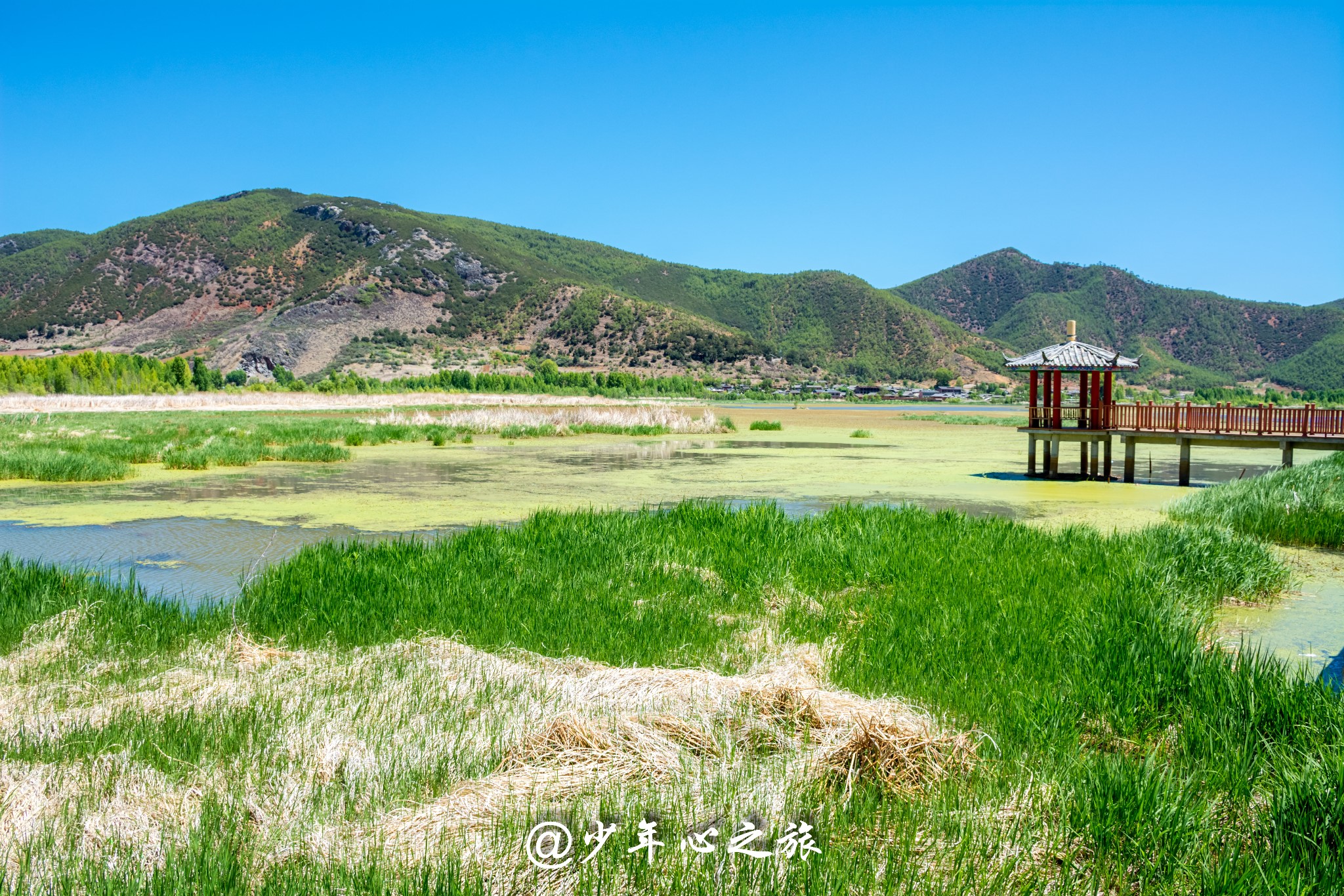 雲南自助遊攻略