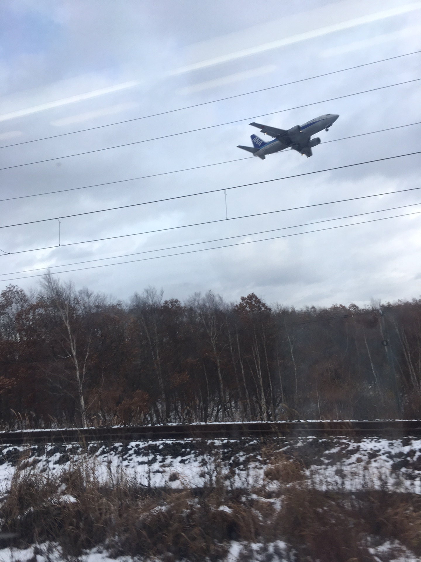 北海道自助遊攻略