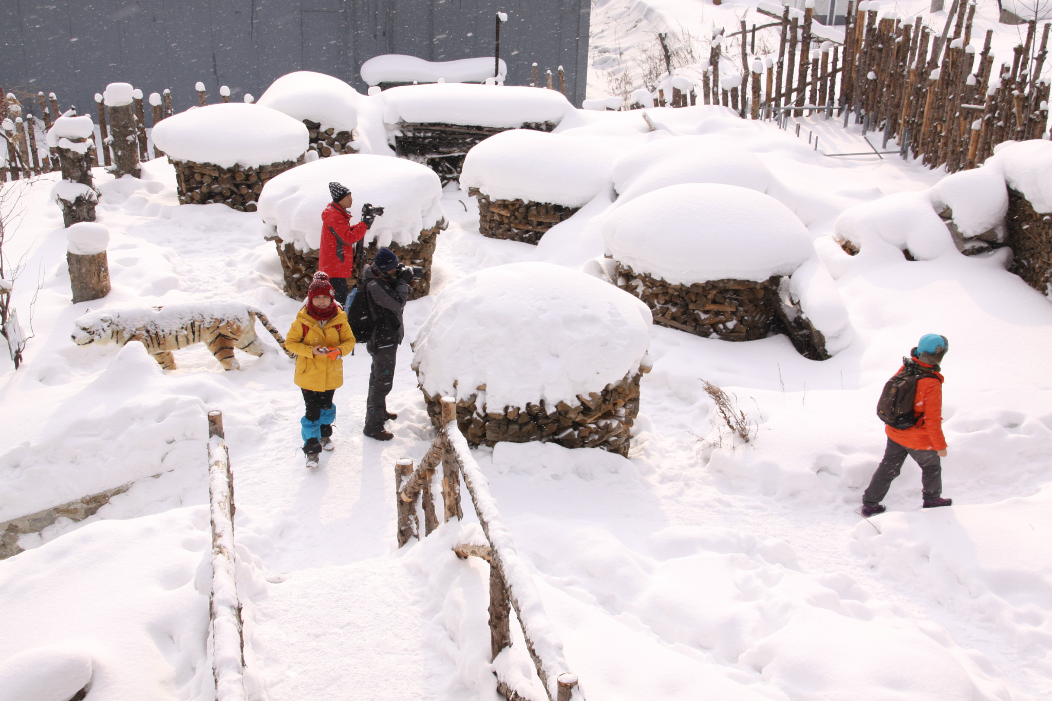 雪鄉自助遊攻略